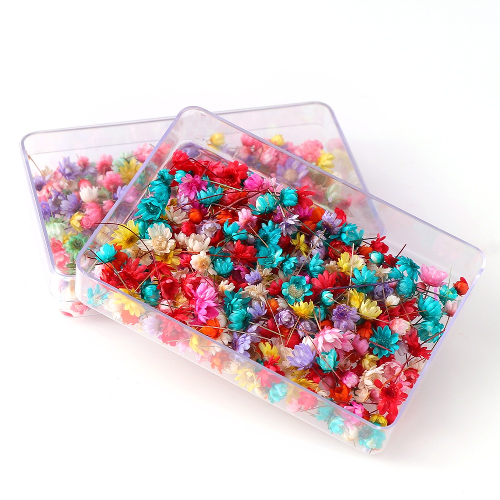 ดอกไม้แห้งธรรมชาติ วัสดุ DIY ดอกไม้แห้ง สีบราซิล วัสดุแก้ว ดอกไม้เต็มไปด้วยดวงดาว หัว