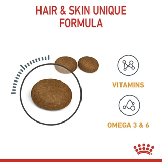 Royal Canin Hair & Skin อาหารเม็ด สำหรับแมวโต ดูแลสุขภาพผิวหนังและเส้นขน ขนาด 4 Kg