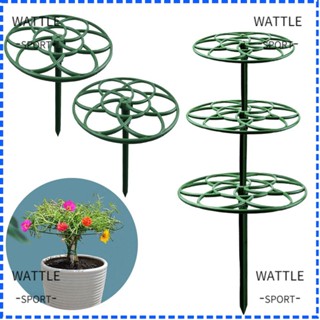 Wattle ขาตั้งบันได วางซ้อนกันได้ สําหรับปีนเขา บอนไซ 2 ชิ้น