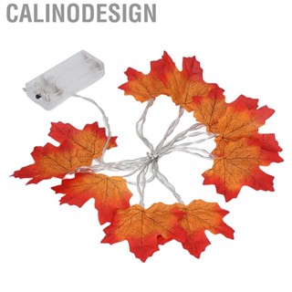 Calinodesign Maple Leaves String Light Thanksgiving Decorion  Operated 5.4ft For