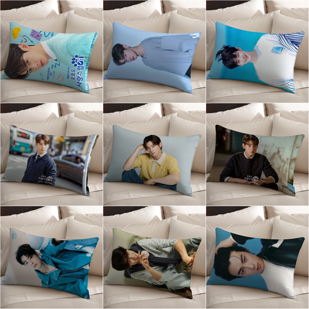 Cha Eun Woo ปลอกหมอน ผ้าโพลีเอสเตอร์ ทรงสี่เหลี่ยมผืนผ้า พิมพ์ลาย a Good Day to Be a Dog ด้านเดียว ส