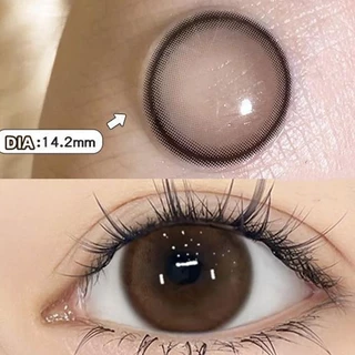 Midroo เลนส์แฟชั่น คอนแทคเลนส์สีกรองแสงคอนเทค Black/Brown Bean ค่าสายตาปกติ Contact Lens 14.2mm