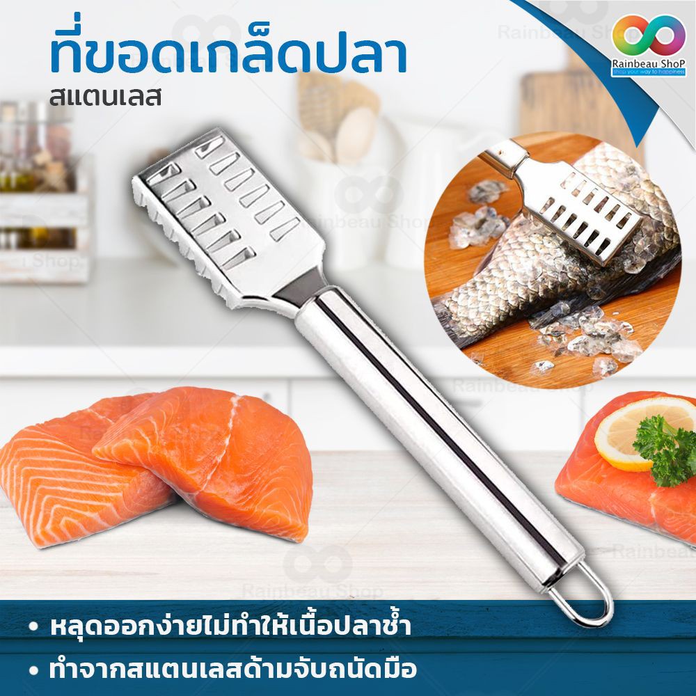 NEW RAINBEAU ที่ขูดปลา ที่ขูดเกล็ดปลา ที่ขอดเกล็ดปลา สแตนเลส 20 ซม. สำหรับ ขอดเกล็ดปลา ด้ามจับถนัดมือ แข็งแรง ทนทาน
