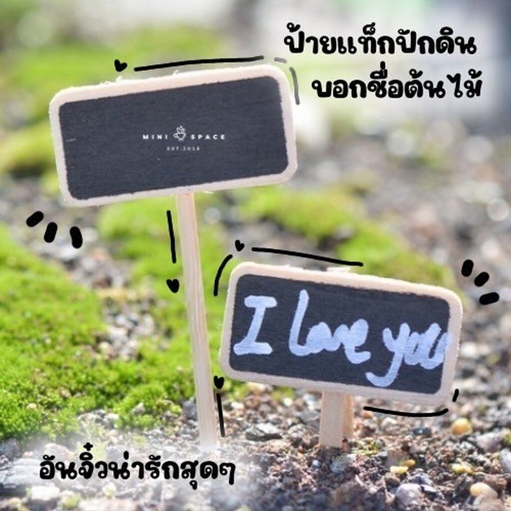 ป้ายปักตกแต่งสวน 2 แบบ MS0747 ป้ายไม้ เขียนข้อความได้ ตุ๊กตาจิ๋ว โมเดลจิ๋ว แต่งสวน งานDIY