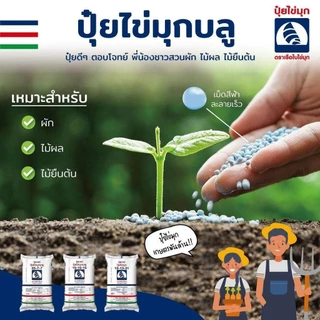 ปุ๋ย 8-24-24 ปุ๋ยไข่มุกบลู สะสมอาหารและกระตุ้นการออกดอกของพืช (แบ่งขาย)