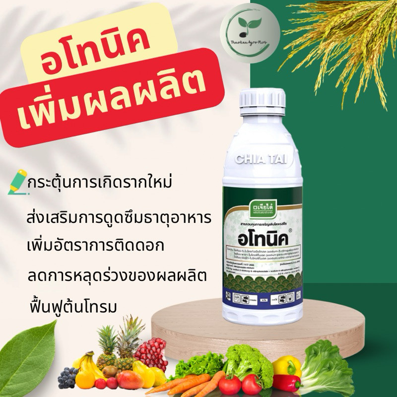 #อโทนิค (เจียไต๋) 100cc  โซเดียม ออร์โธ-ไนโตรฟีโนเลต  สารเร่งกระตุ้นเจริญ​เติบโต​ ขั่วเหนียว ขยายลูก