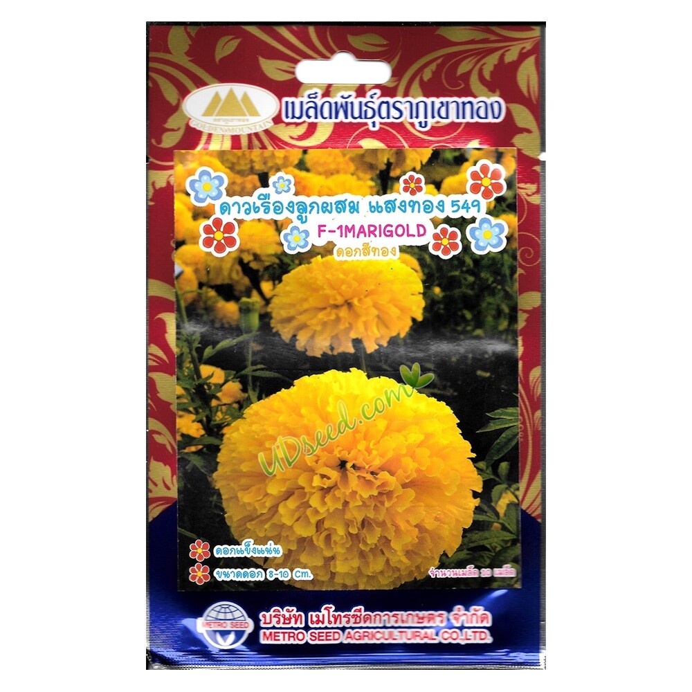 เมล็ดดอกดาวเรือง แสงทอง549 MT/FW-19 ดอกสีทอง F-1MARIGOLD ตราภูเขาทอง เมล็ดพันธุ์ดอกดาวเรือง ดอกไม้