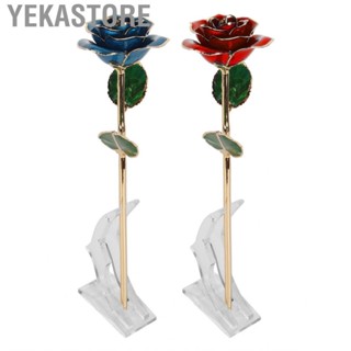 Yekastore Preserved Rose  Bright Luster Naturally Styled Rich Details Gold Dipped Easy To Clean for Birthday