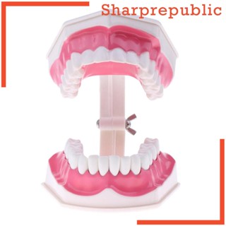 [Sharprepublic] อุปกรณ์ตกแต่ง รูปปากมนุษย์ ขนาด 15x12x9 ซม. 15x12x9 ซม.