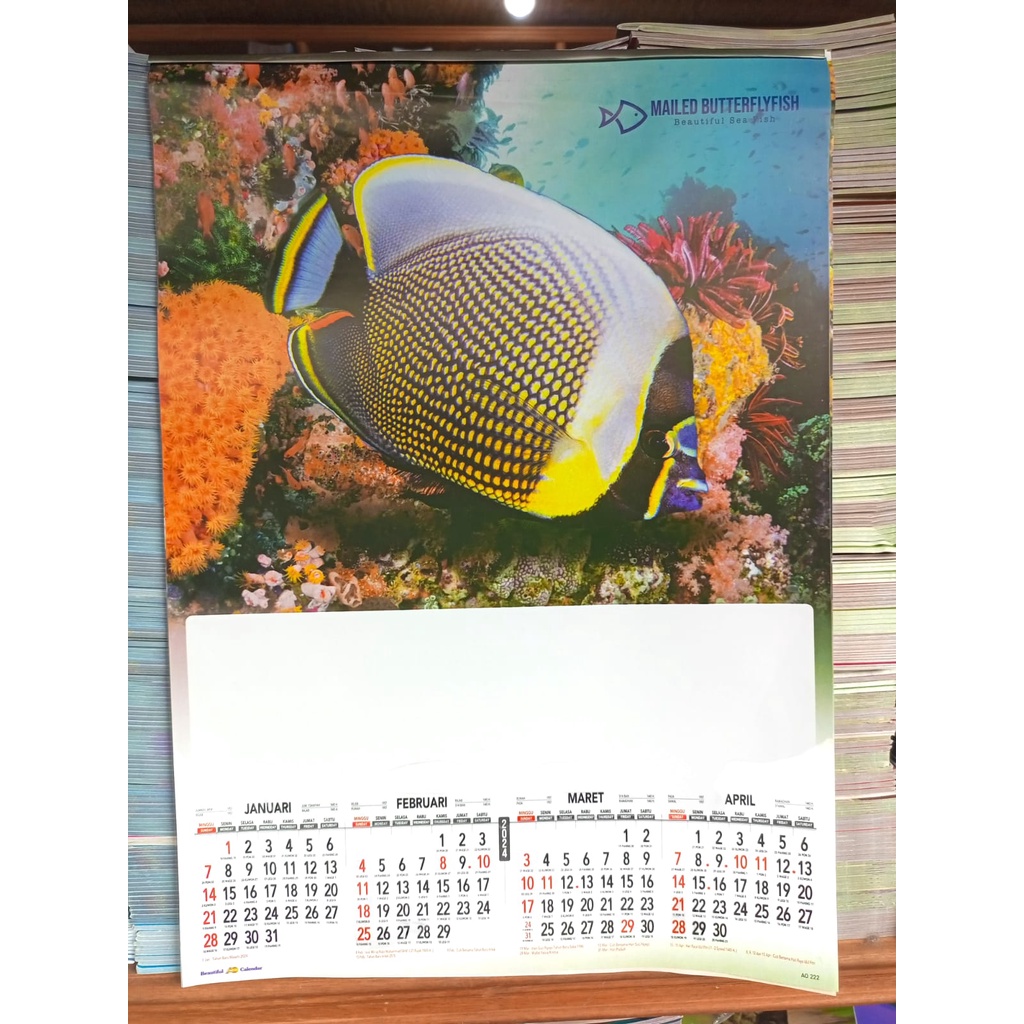 WALL CALENDAR WALL CALENDAR QUARTER YEAR 2026 ปลา MOTIF