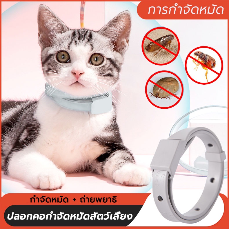 ปลอกคอกันเห็บหมัด  ปลอกคอกันเห็บ หมัด ยุง  ปอกคอกันเห็บหมา ทนนาน8เดือน สำหรับสุนัข แมว