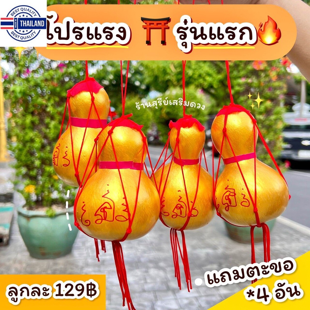 น้ำเต้าแท้ ผ่านพิธี เปิดจุกได้ เจ้าใหญ่ปลุกเสก น้ำเต้าดูดทรัพย์ น้ำเต้าแท้ น้ำเต้าฮวงจุ้ย ของตกแต่ง้าน