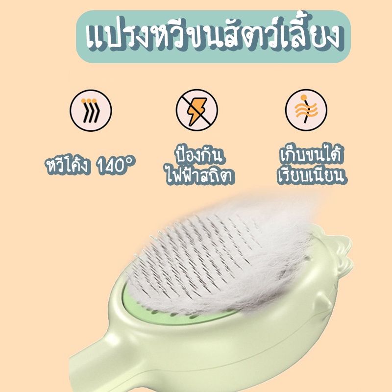 รูปภาพ 2