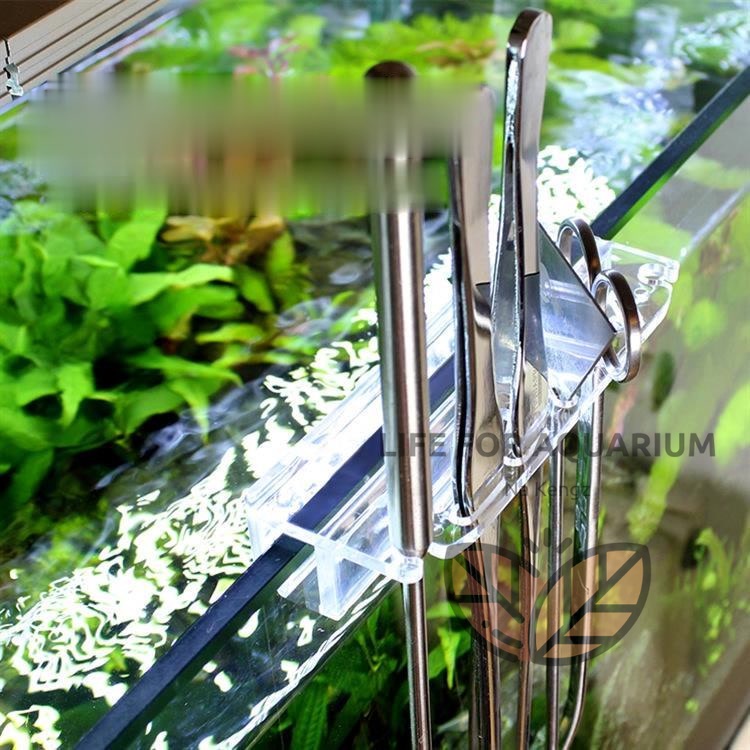 รุ่นใหม่ 2026 แขวน กรรไกรไม้น้ำ Acrylic อุปกรณ์จัดเก็บฟอเซป กรรไกร กรณ์ตัดแต่งไม้น้ำ อะคริลิค LFA Life For Aquarium