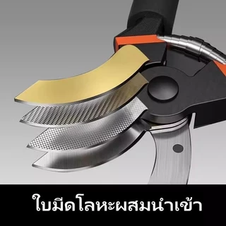 กรรไกรตัดกิ่งเหล็ก/กรรไกรตัดกิ่งต้นไม้ผลไม้/กรรไกรตัดกิ่งองุ่นและดอกไม้ในครัวเรือน/กรรไกรตัดกิ่งต้นไม้ผลไม้