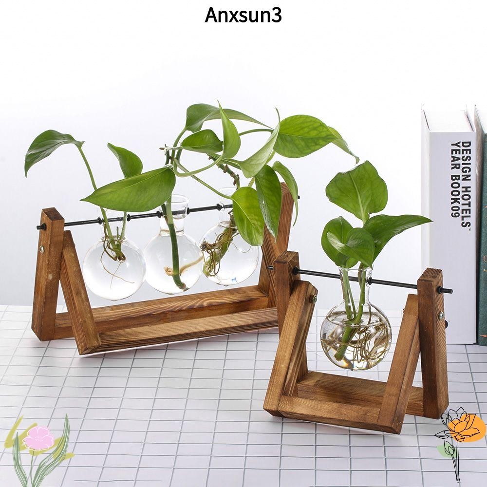Anxsun3 Hydroponic แจกันพืชบอนไซ Terrarium โต๊ะตกแต่งบ้านกรอบไม้