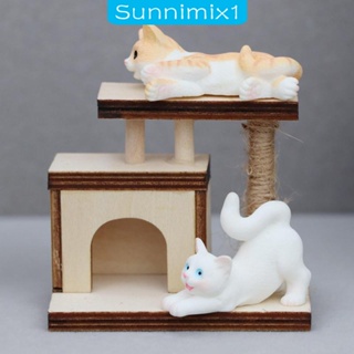 [Sunnimix1] กรอบรูปแมวปีนเขา 1:12 สําหรับบ้านตุ๊กตา