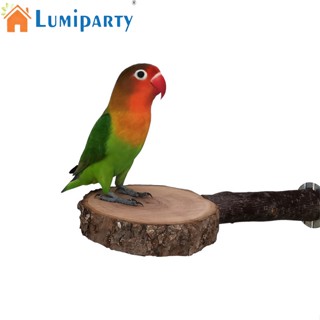 Lumiparty คอนไม้ธรรมชาติ อุปกรณ์เสริม สําหรับนกแก้ว