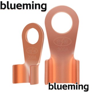 Blueming2 ชุดหางปลาเชื่อมต่อสายไฟ OT 10A-80A ทองแดง ไม่หุ้มฉนวน OT Type 1.5-16 มม.2 10 ชิ้น ต่อแพ็ก