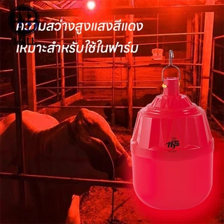 รับประกัน 1 ปี หลอดไฟตุ้มโซล่าเซลล์ 20000w หลอดLED ใช้พลังงานแสงอาทิตย์ ประหยัดไฟ มีครบชุดพร้อมติดตั้ง ไฟไล่ยุงติดคอกวัว
