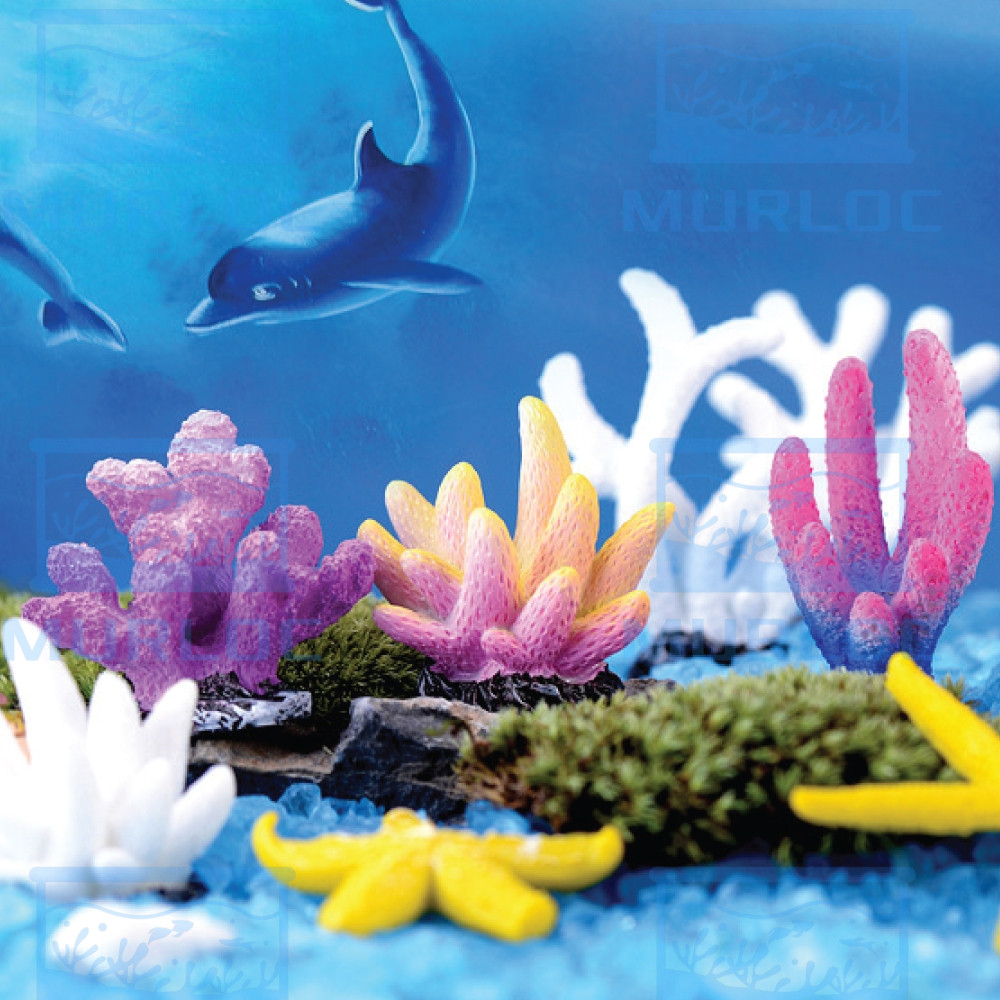 รูปภาพ 3