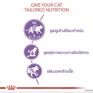 Royal Canin Sterilised อาหารเม็ด สำหรับแมวโต ทำหมัน ขนาด 4 Kg
