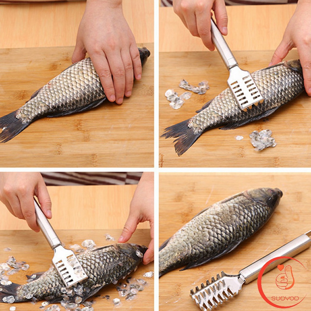 Sudyod ที่ขอดเกล็ด ที่ขูดเกล็ดปลา  สแตนเลส เครื่องใช้ในครัว Fish scale scraper