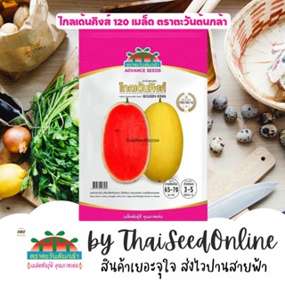 ADVPREMIUM แดงโม โกลเด้นคิงส์ 120 เมล็ด ตราตะวันต้นกล้า