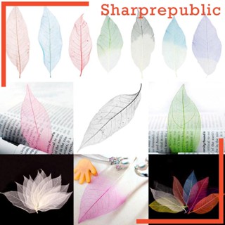 [Sharprepublic] กระดาษลายโครงกระดูกธรรมชาติ สําหรับตกแต่งสมุดภาพ 50 ชิ้น