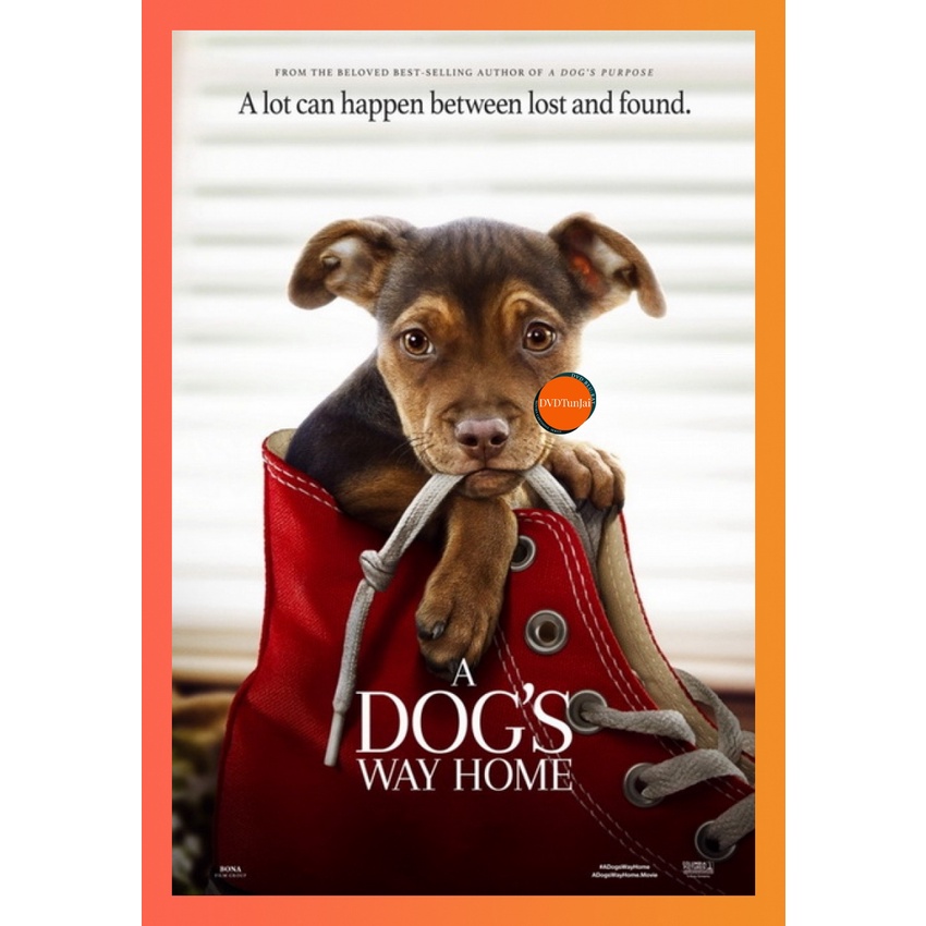 ใหม่ หนังแผ่น DVD A Dog s Way Home (2019) เพื่อนรักผจญภัยสี่ร้อยไมล์ (เสียง ไทย/อังกฤษ ซับ ไทย/อังกฤษ) หนังใหม่ ดีวีดี T