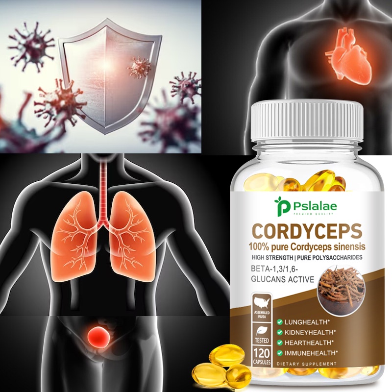Pslalae Cordyceps Sinensis คอร์ดี้เซปส์ สารสกัดจากหัวใจและภูมิคุ้มกัน เพื่อสุขภาพ