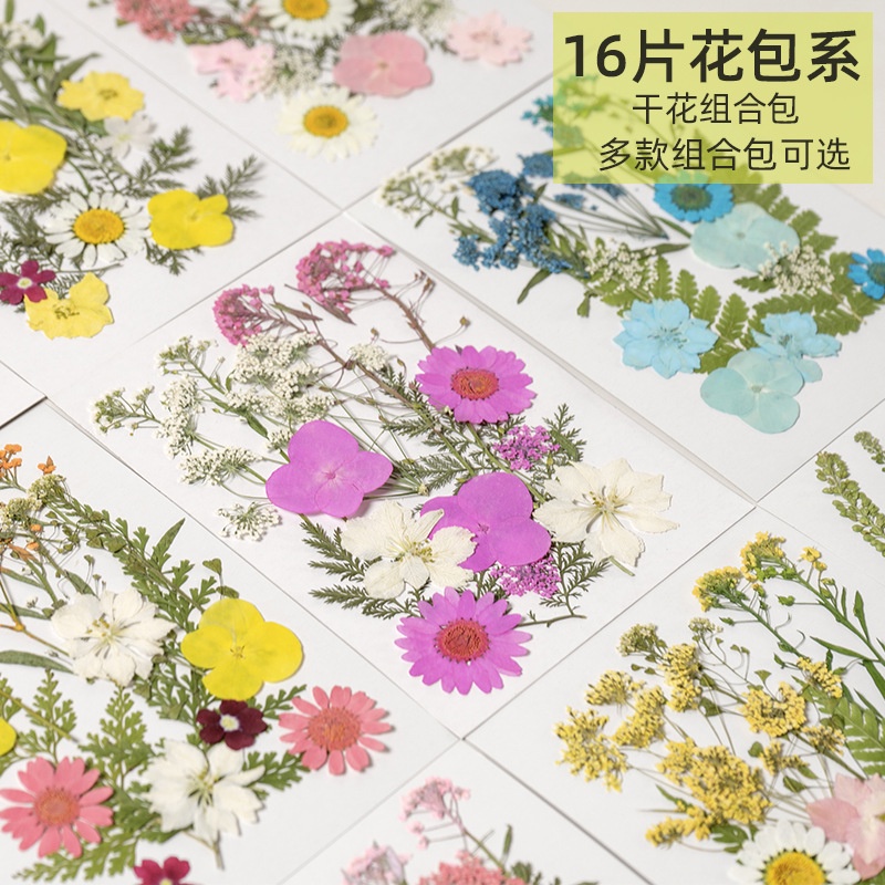 กระเป๋าใส่ดอกไม้แห้ง ดอกไม้จริง วางกาว เคสโทรศัพท์ พัดลมแฮนด์เมด การ์ดอวยพร ที่คั่นหนังสือ วัสดุดอกไม้ ใบกุหลาบ