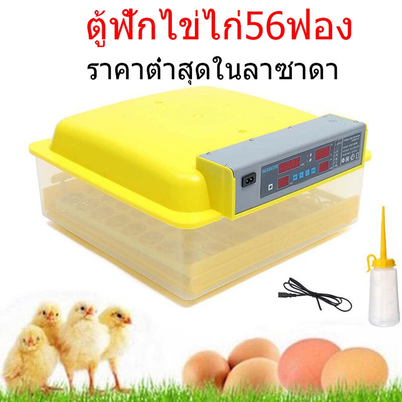 ราคาถูกสุด รับประกัน ตู้ฟักไข่  ไข่ไก่ 56ฟอง ตู้ฝักไข่ไก่ กลับไข่อัตโนมัติ ควบคุมอุณหภูมิ ความชื้นอัต