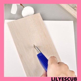 Lilyescub แผ่นบอร์ดไม้แกะสลัก ทรงสี่เหลี่ยมผืนผ้า DIY ของเล่นสําหรับเด็ก