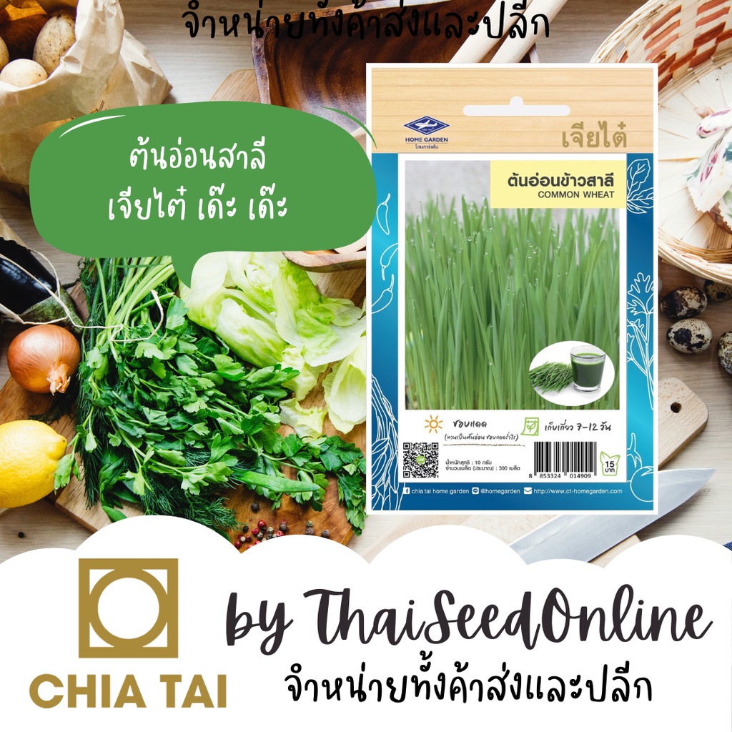 CTOP เมล็ดพันธุ์ ต้นอ่อนข้าวสาลี 300 เมล็ด ตราเจียไต๋ Wheat Grass Sprout Seeds
