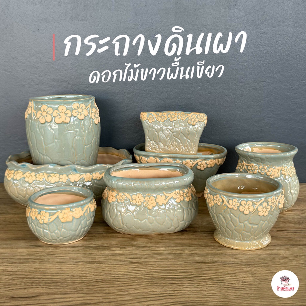 กระถางดินเผา ดอกไม้ขาวพื้นเขียว กระถางต้นไม้ ไม้อวบน้ำ กุหลาบหิน cactus&succulentหลากหลายสายพันธุ์