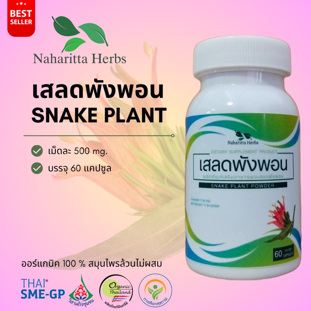 เสลดพังพอน Snake plant 100% 60cap. เลือกขนาดได้ในตัวเลือก