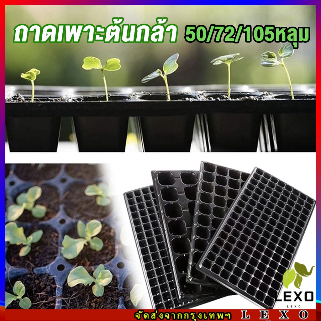 ถาดเพาะต้นกล้า  ถาดเพาะชำ ถาดเพาะเมล็ด ใช้ซ้ำได้ Seedling Tray