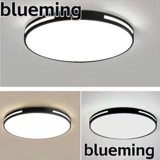 Blueming2 โคมไฟเพดาน Led สไตล์โมเดิร์น ทนทาน สําหรับติดผนัง