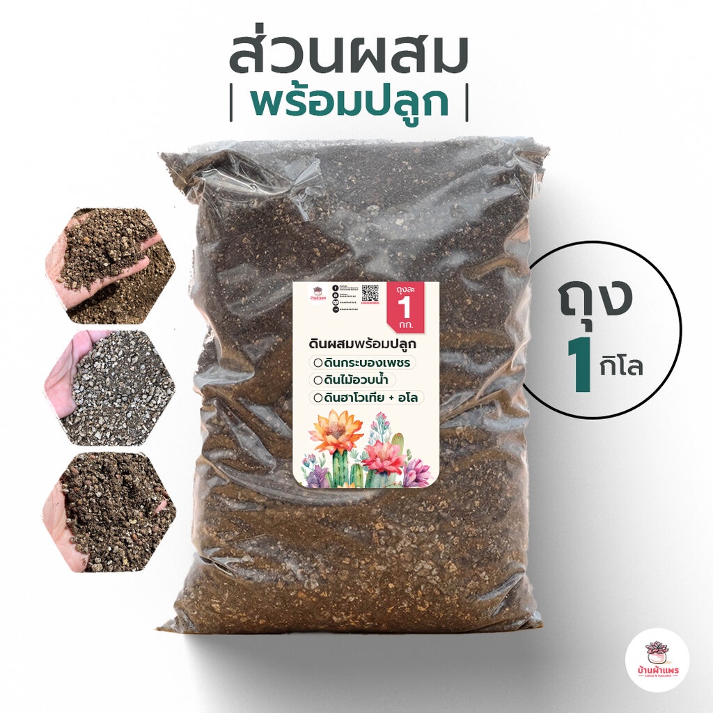 [ 1 กก. ] ดินผสมพร้อมปลูกไม้อวบน้ำ กุหลาบหิน กระบองเพชร Cactus&Succulent