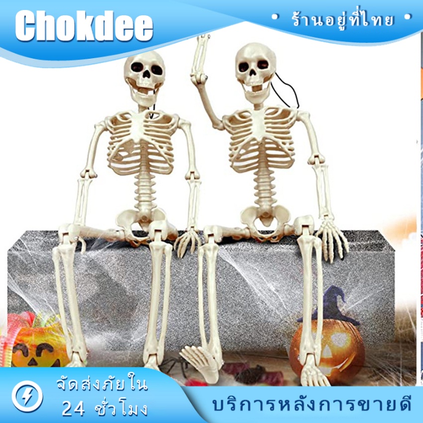 ร้านคนไทย! โครงกระดูก โครงกระดูกมนุษย์ ปาร์ตี้ฮาโลวีน