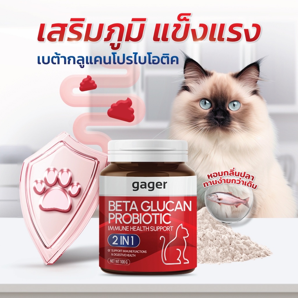 รูปภาพ 5