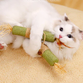 AimayaPet ไม้แมวเมา ไม้มาทาทาบิ ขัดฟันแมว ไม้ขัดฟัน ลดคราบหินปูน ของเล่นแมว ไม้แปรงฟันแมว