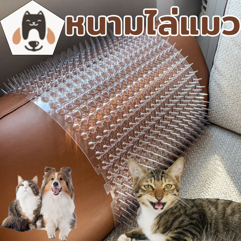 พร้อมส่ง😿หนามไล่แมว ที่กันแมว😿แผ่นแทงแมวสามารถตัดได้PVCใส42*33.8*2CM 6/10pcsพลาสติกแยกจากโซฟาเก็บแมว