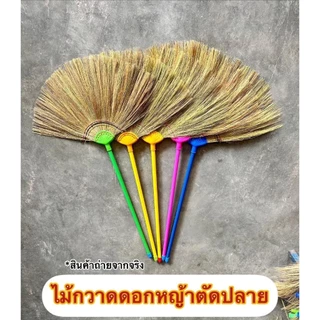 {แพ็คคู่สุดคุ้ม} ไม้กวาดดอกหญ้า รุ่นหนา (ตัดปลาย) ยกมัด 10 และ 20 ด้าม งาน OTOP ทากาว ด้ามพลาสติกเกรด A