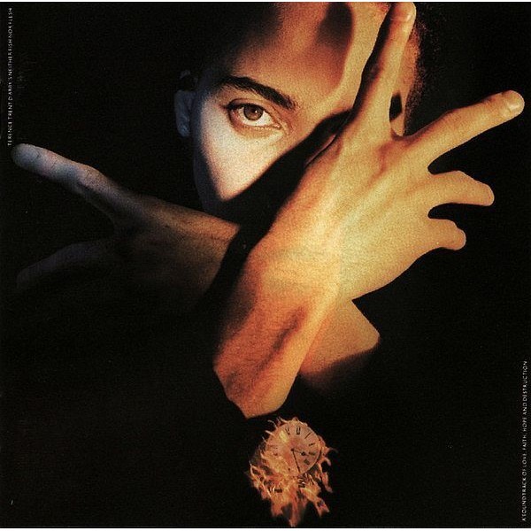 (มือสอง) TERENCE TRENT DARBY Terence Trent DArbys Neither Fish Nor Flesh CD (US)
