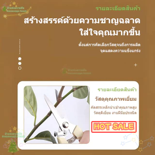 [พร้อมส่ง] กรรไกรตัดกิ่งไม้ แต่งกิ่งไม้ ปากโค้ง ปากตรง ขนาด 7 นิ้ว สีครีม