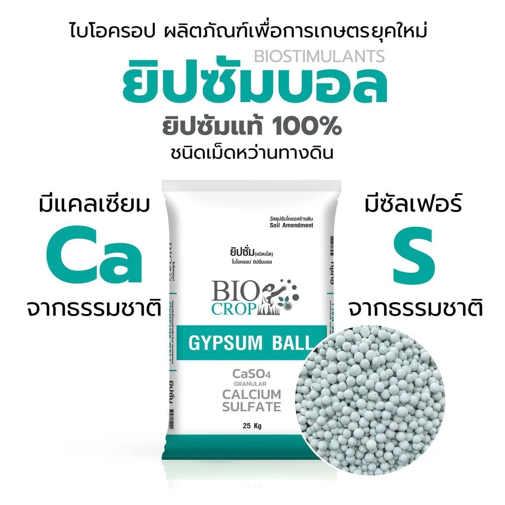 ยิปซัมบอล  แคลเซียมซัลเฟต (ชนิดเม็ด) ใช้ทางดิน  ช่วยบำรุงรากให้แข็งแรง ฟื้นฟูระบบรากได้รวดเร็ว (แบ่งขาย)