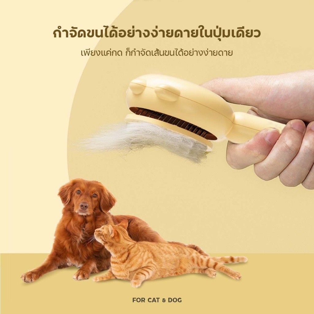 รูปภาพ 2