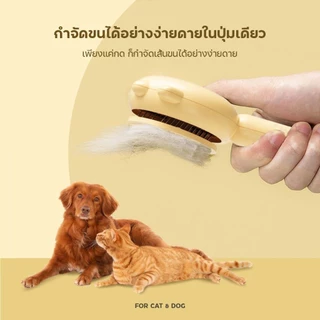 🔥COD🔥🆕หวีกำจัดขน มีปุ่มดันขนออก หวีแปรงขนสัตว์ หวีแมว หวีสุนัข ที่แปรงขนสัตว์เลี้ยง ทำความสะอาดง่าย แบบหมุด